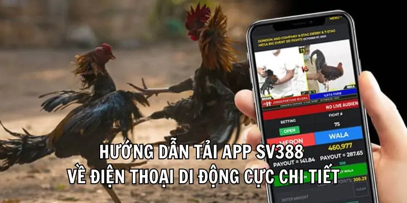 Sv388 - Đấu Trường Gà Trực Tuyến Đỉnh Cao - Khám Phá Bí Mật